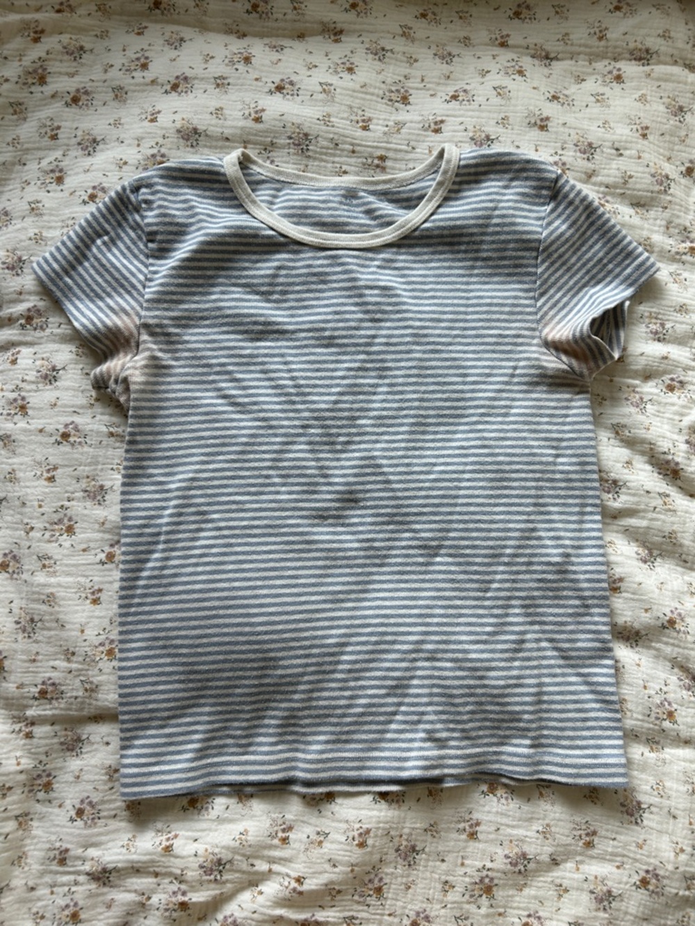 Brandy Melville Blue Striped Hailie Tee
